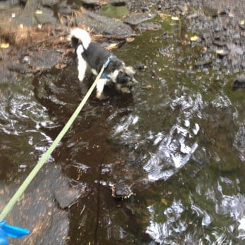 Mowry Conservation Area - Checking out the water. - Hiking Near Me - Smithfield, Rhode Island