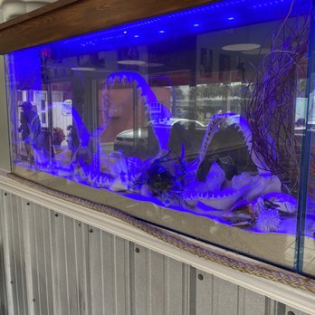 Hull's Seafood - Shark teeth - Seafood Near Me - Ormond Beach, Florida