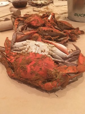 Tiffany East Catering by null