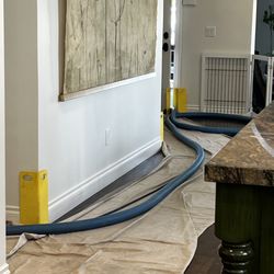 Premium Carpet Care - Protected my walls and doors with cones!