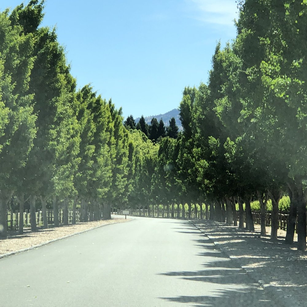 Far Niente - The gorgeous drive in... - Wineries Near Me - Oakville, California Far Niente - The gorgeous drive in... - Wineries Near Me - Oakville, California