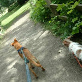 Little Furry Things, LLC - Out for a stroll at Greenlake. - Dog Walkers Near Me - Seattle, Washington Little Furry Things, LLC - Out for a stroll at Greenlake. - Dog Walkers Near Me - Seattle, Washington