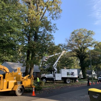Bucks Tree Care & Landscaping - Tree removal project - Tree Services Near Me - Levittown, Pennsylvania Bucks Tree Care & Landscaping - Tree removal project - Tree Services Near Me - Levittown, Pennsylvania