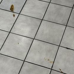 Circle K - More poop on floor