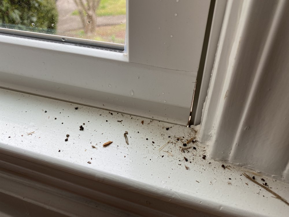 Slide of Freeland Painting