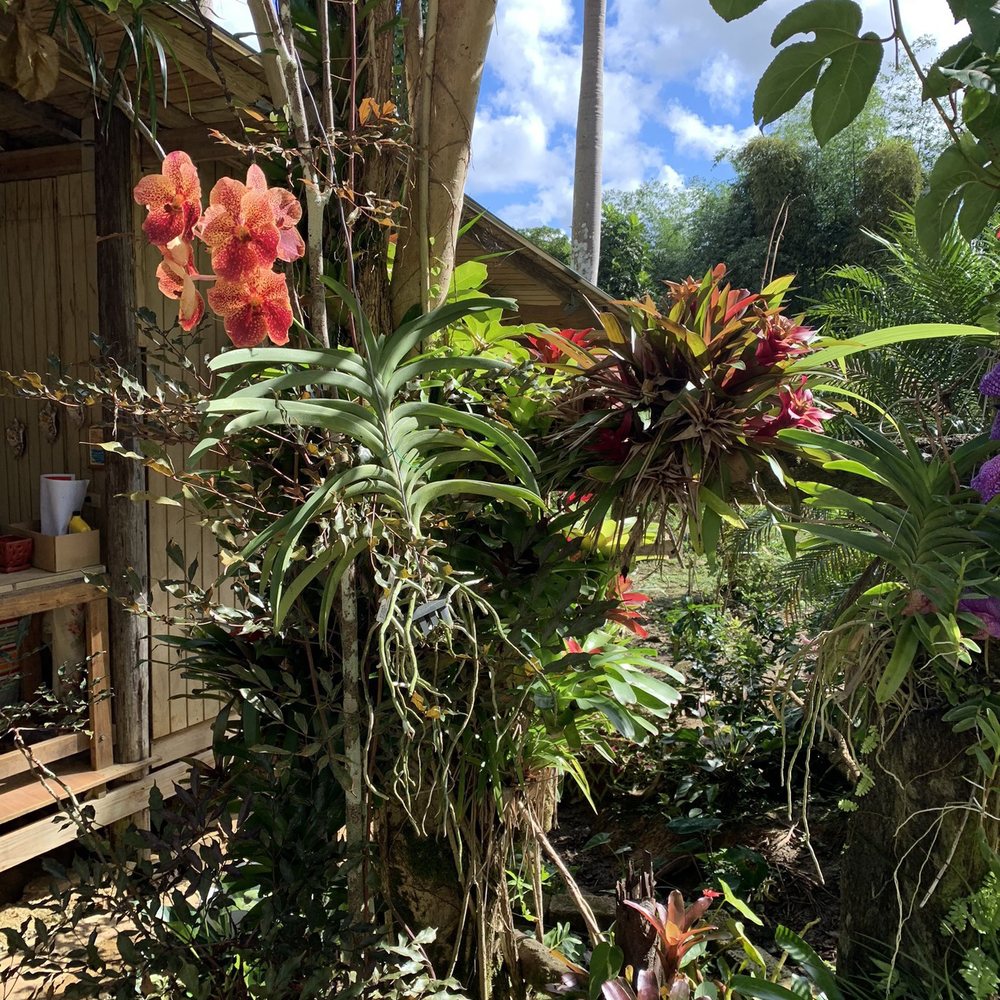 Across Caribe - Historical Tours Near Me