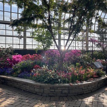 Garfield Park Conservatory - Show room (spring flower show from Feb 15 to May 14, 2023) - Parks Near Me - Chicago, Illinois