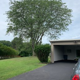 Thank you Arbormasters for an amazing job on this tree that was previously hanging dangerously over our home.
