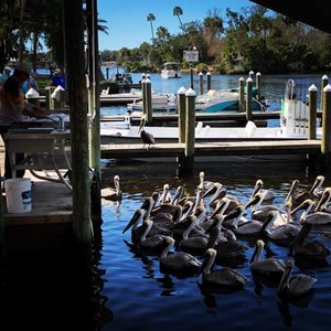 MACRAE’S OF HOMOSASSA - 40 Photos & 29 Reviews - 5300 S Cherokee Way