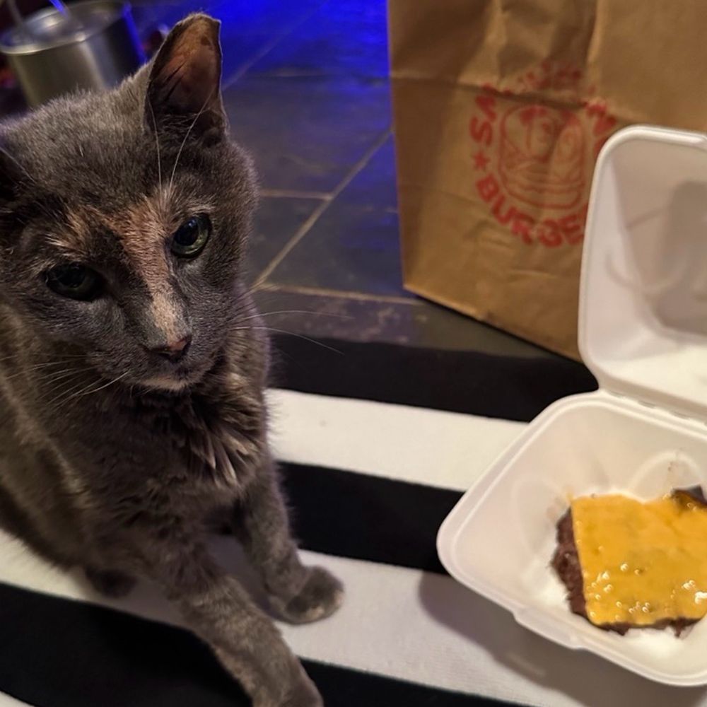 Smacking Burger - Pup burger! - Burgers Near Me - New York, New York Smacking Burger - Pup burger! - Burgers Near Me - New York, New York