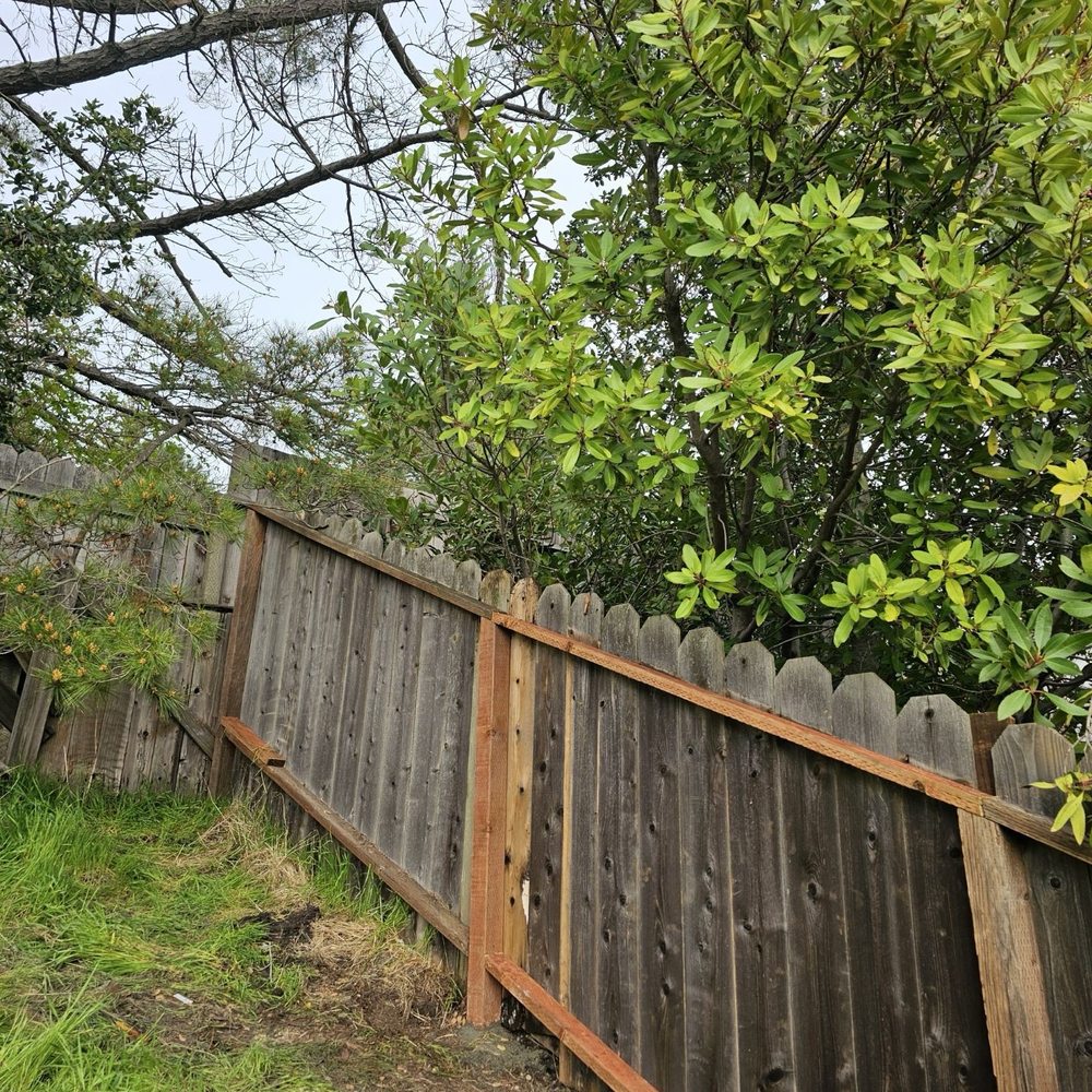 MR Landscaping - Fencing complete - Landscaping Near Me - Rodeo, California