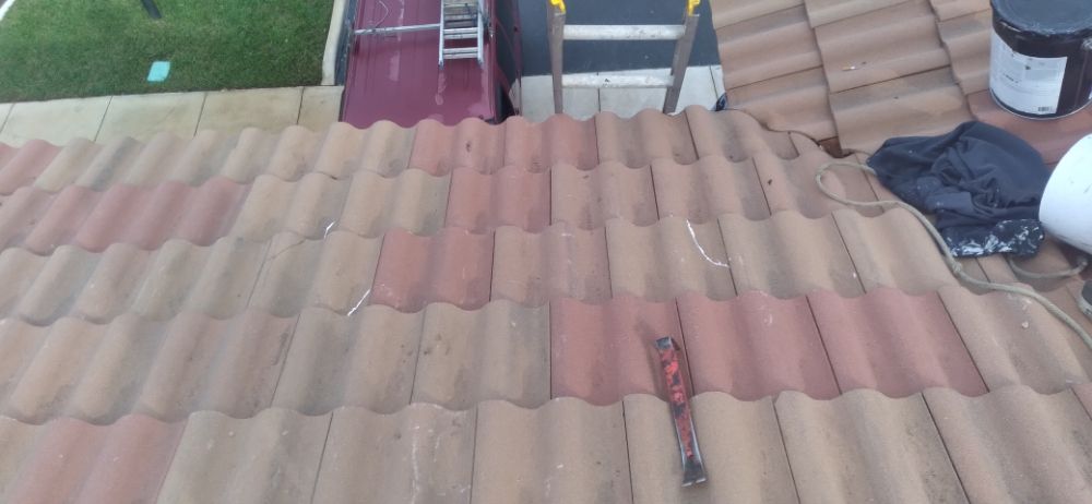 Slide of Bert the roofer