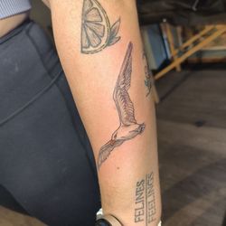 Fortune Tattoos - Seagull tattoo