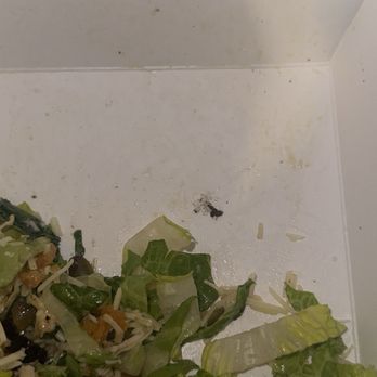Tumble 22 - Chicken Shop Near Me - Cedar Park, Texas
