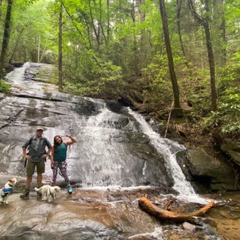 Fall Branch Falls - Pet friendly trail:) - Hiking Near Me - Cherry Log, Georgia