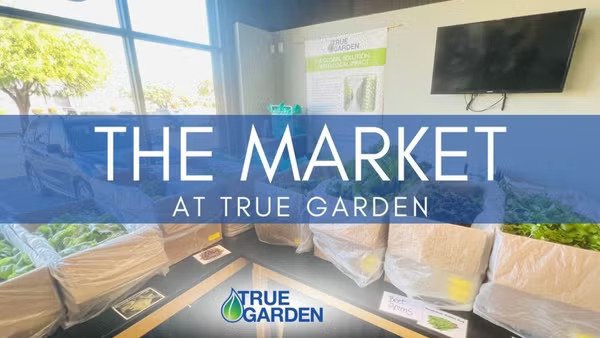 True Garden by null