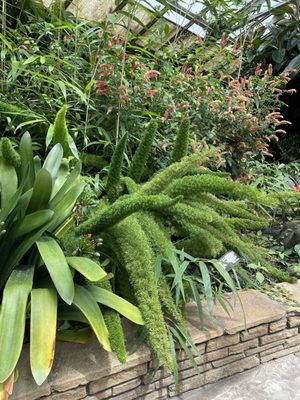 Rockefeller Park & Greenhouse by null