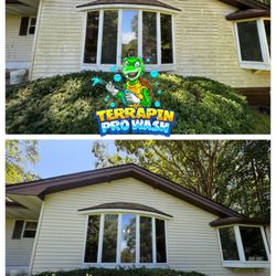 Terrapin Pro Wash - Soft house wash