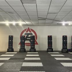 Tiger-Rock Martial Arts of Marietta