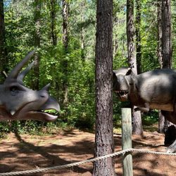 Sweet Valley Ranch - Visit the dinosaurs along the dinosaur trail.