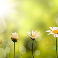 Evolve Counseling