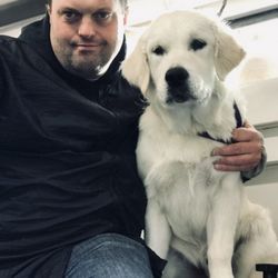 The Dogfather - Dog Grooming
