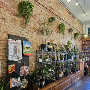 Kuyas - Cafes Near Me - Los Angeles, California