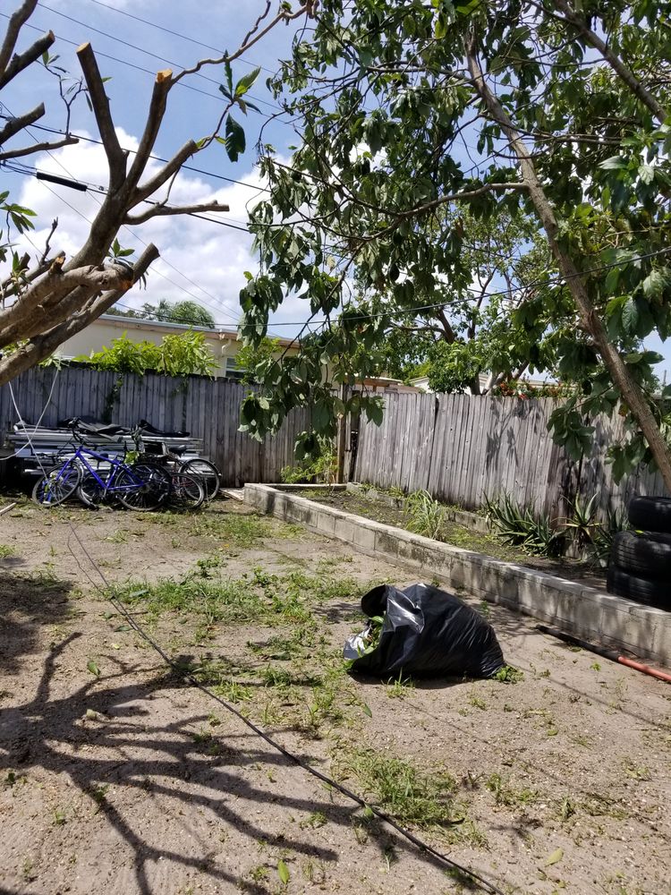 Slide of Timoteo's Handy Fix