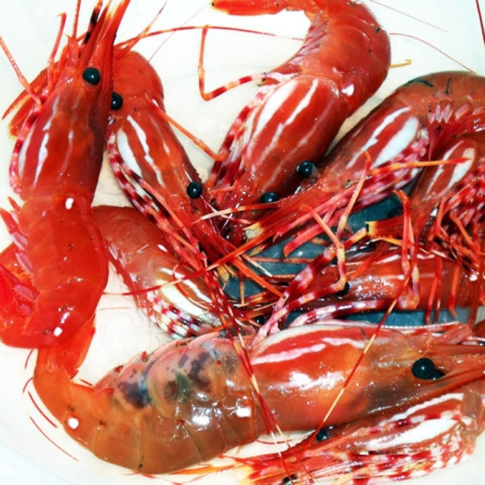 Pacific Fresh Fish - Shrimps! Sashimi, steam or fried. - Seafood Markets Near Me - Los Angeles, California Pacific Fresh Fish - Shrimps! Sashimi, steam or fried. - Seafood Markets Near Me - Los Angeles, California