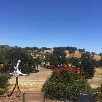 Whalebone Vineyard - The view from the tasting room - Wineries Near Me - Paso Robles, California Whalebone Vineyard - The view from the tasting room - Wineries Near Me - Paso Robles, California