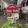 Photo of Mercado de Jamaica