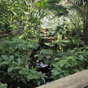 United States Botanic Garden - Botanical Gardens Near Me - Washington, DC, District of Columbia