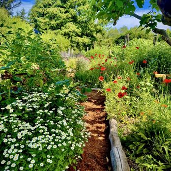 Wild Flour Bread - Flowers in garden - Bakeries Near Me - Freestone, California