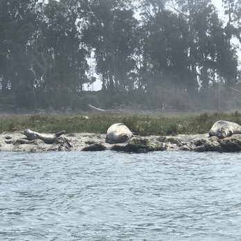 Kayak Connection - Rafting/Kayaking Near Me - Moss Landing, California Kayak Connection - Rafting/Kayaking Near Me - Moss Landing, California
