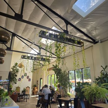 Chico Chai - Ambience was amazing - Coffee & Tea Near Me - Chico, California