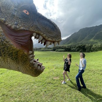 Kualoa Ranch - Tours Near Me - Kaneohe, Hawaii