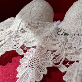 Badd Kitty - Escante lingerie bra - Lingerie Near Me - Charleston, South Carolina