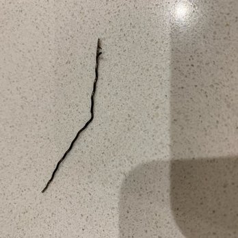 Little Szechuan - METAL HAIR PIN IN FOOD - Chinese Near Me - London, XGL