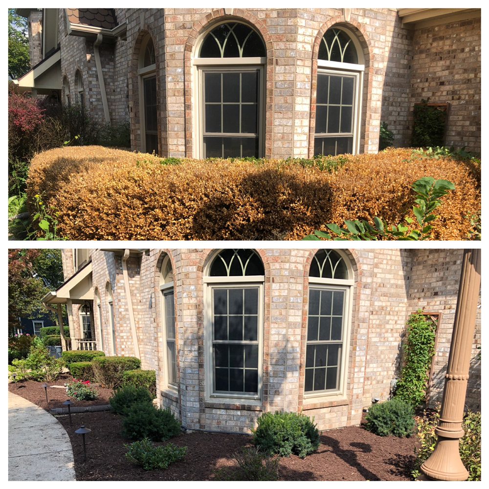 DISTINCTIVE CONCEPTS LAWN & LANDSCAPE 98 Photos Plainfield