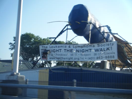 Big Blue Bug Solutions by null