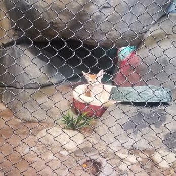 Staten Island Zoo - Zoos Near Me - Staten Island, New York