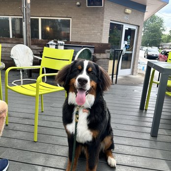 Redheaded Stranger - Pup friendly patio! - Tacos Near Me - Nashville, Tennessee Redheaded Stranger - Pup friendly patio! - Tacos Near Me - Nashville, Tennessee