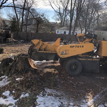 Tony's Tree Trimming - Tree Services Near Me - Medford, New York Tony's Tree Trimming - Tree Services Near Me - Medford, New York