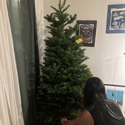 Delancey Street Christmas Trees - Christmas tree named "Chip" came home with us! Thank you Alex at Delancey Street Christmas! Deserves a raise if you ask me.