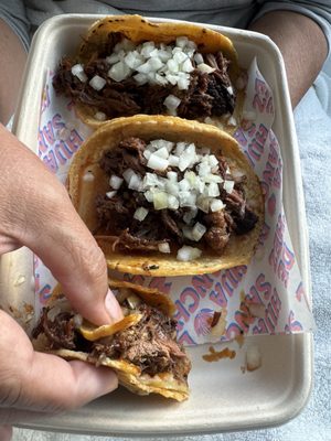 Hija de Sanchez Torvehallerne by null