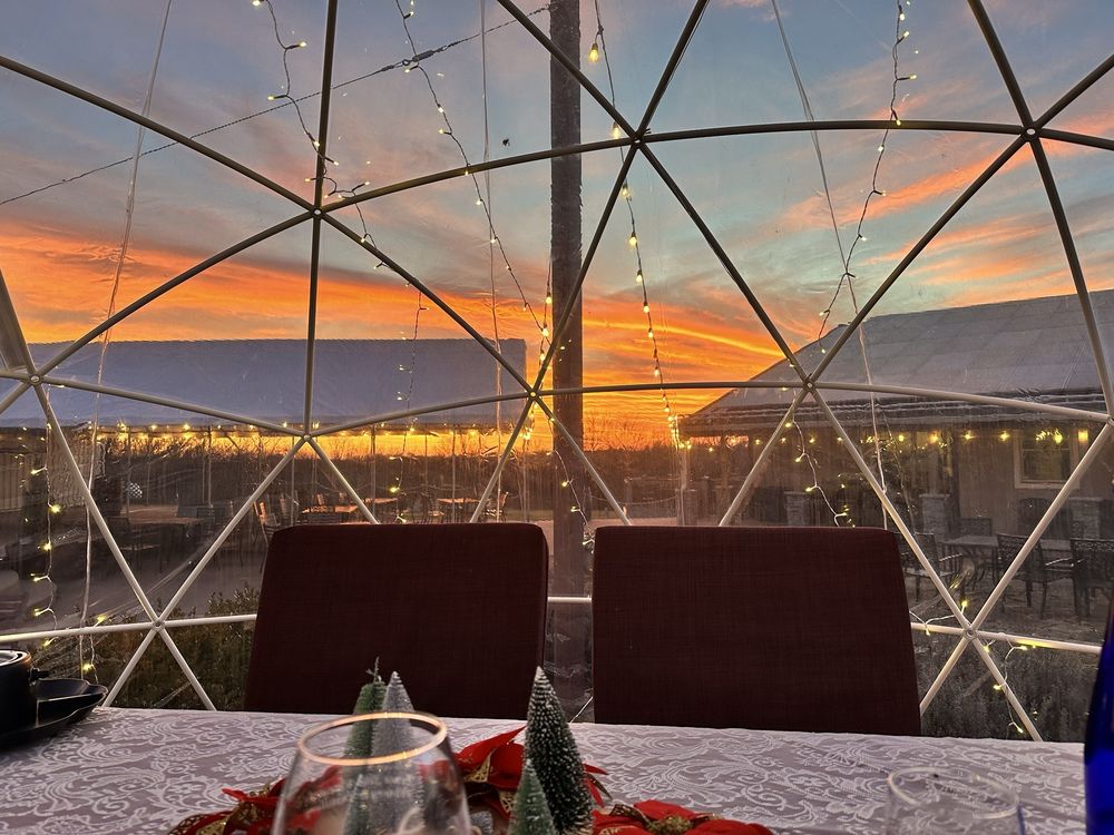 Fence Stile Vineyards & Winery - vineyard in Excelsior Springs, MO