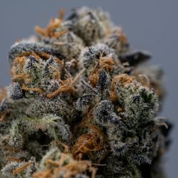Highway DTLA - Indica, sativa, hybrid cannabis strains