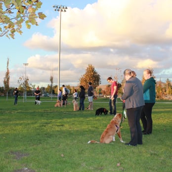 D For Dogz - Outdoor Adolescent Dogs Class in Action! - Pet Training Near Me D For Dogz - Outdoor Adolescent Dogs Class in Action! - Pet Training Near Me