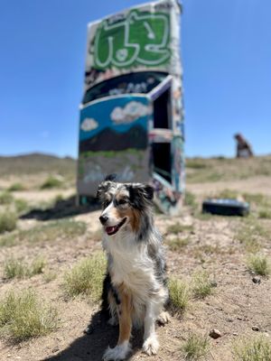 The International Car Forest by null