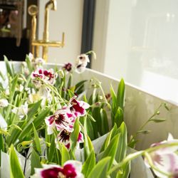 Kohler Store